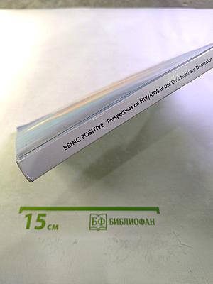 Being Positive: Perspectives on HIV/AIDS in the EU's Northern Dimension and Finland's Neighbouring Areas