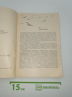 Дороги за горизонт