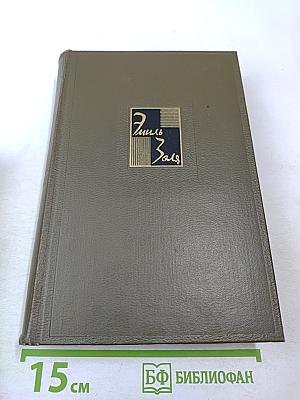 Собрание сочинений. Том 22. Четвероевангелие: Истина