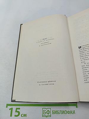 Собрание сочинений. Том 22. Четвероевангелие: Истина