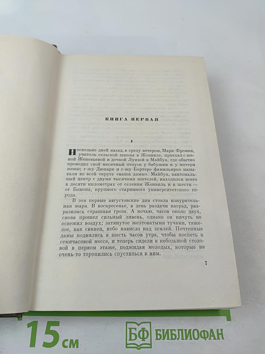 Собрание сочинений. Том 22. Четвероевангелие: Истина