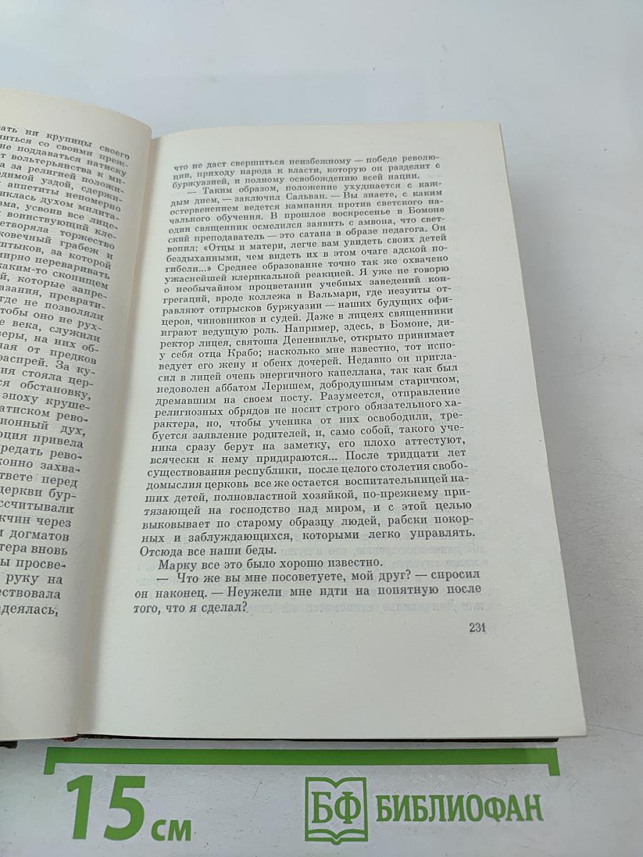 Собрание сочинений. Том 22. Четвероевангелие: Истина