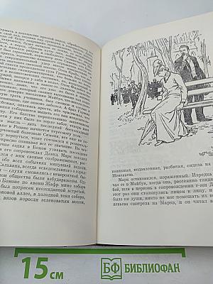 Собрание сочинений. Том 22. Четвероевангелие: Истина