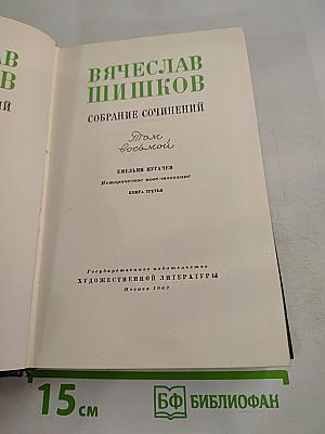 Собрание сочинений. Том восьмой. Емельян Пугачев. Книга третья