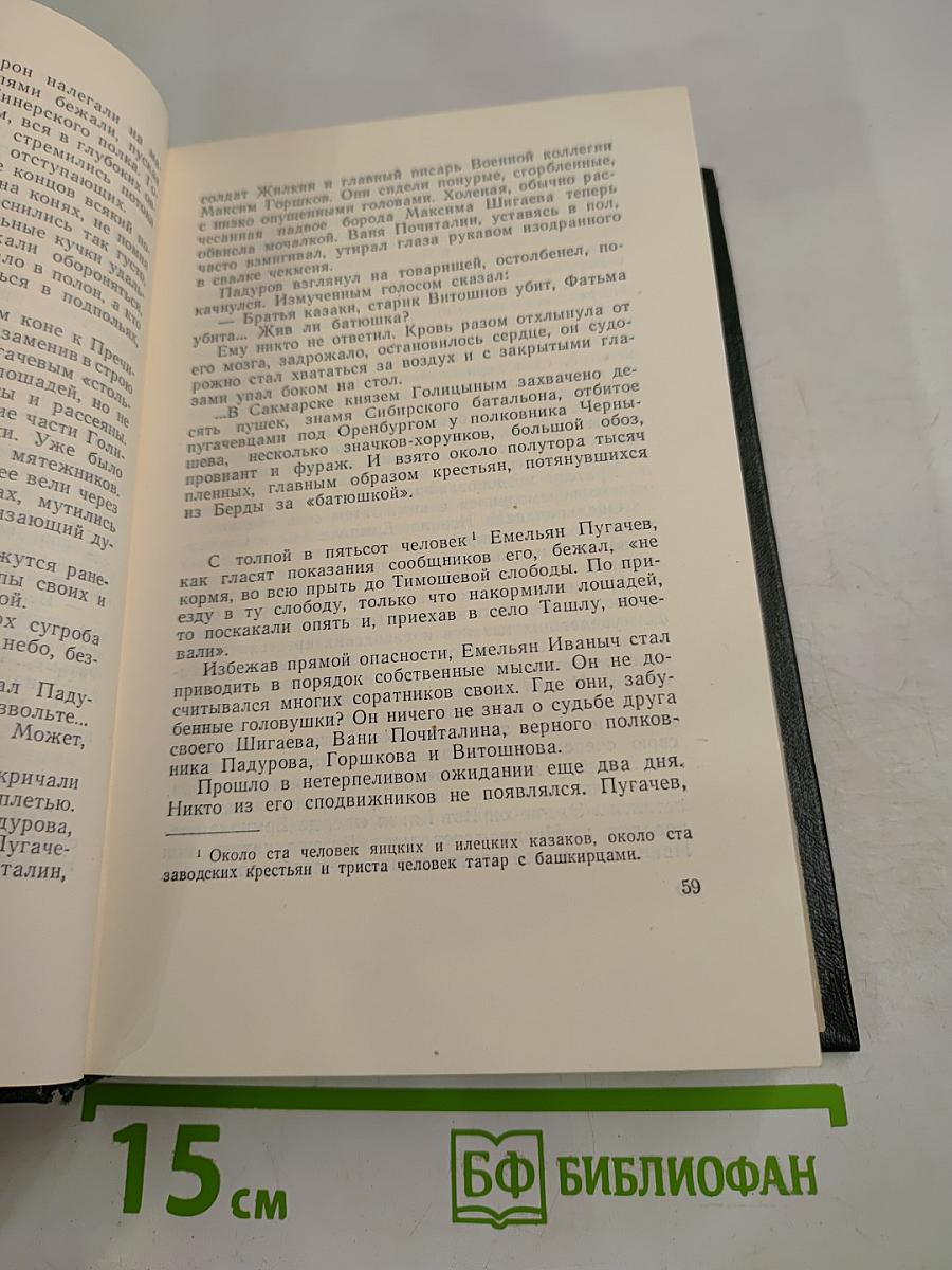 Собрание сочинений. Том восьмой. Емельян Пугачев. Книга третья