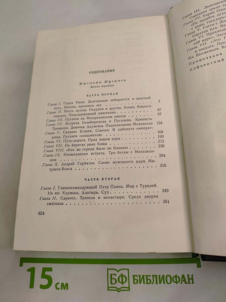 Собрание сочинений. Том восьмой. Емельян Пугачев. Книга третья