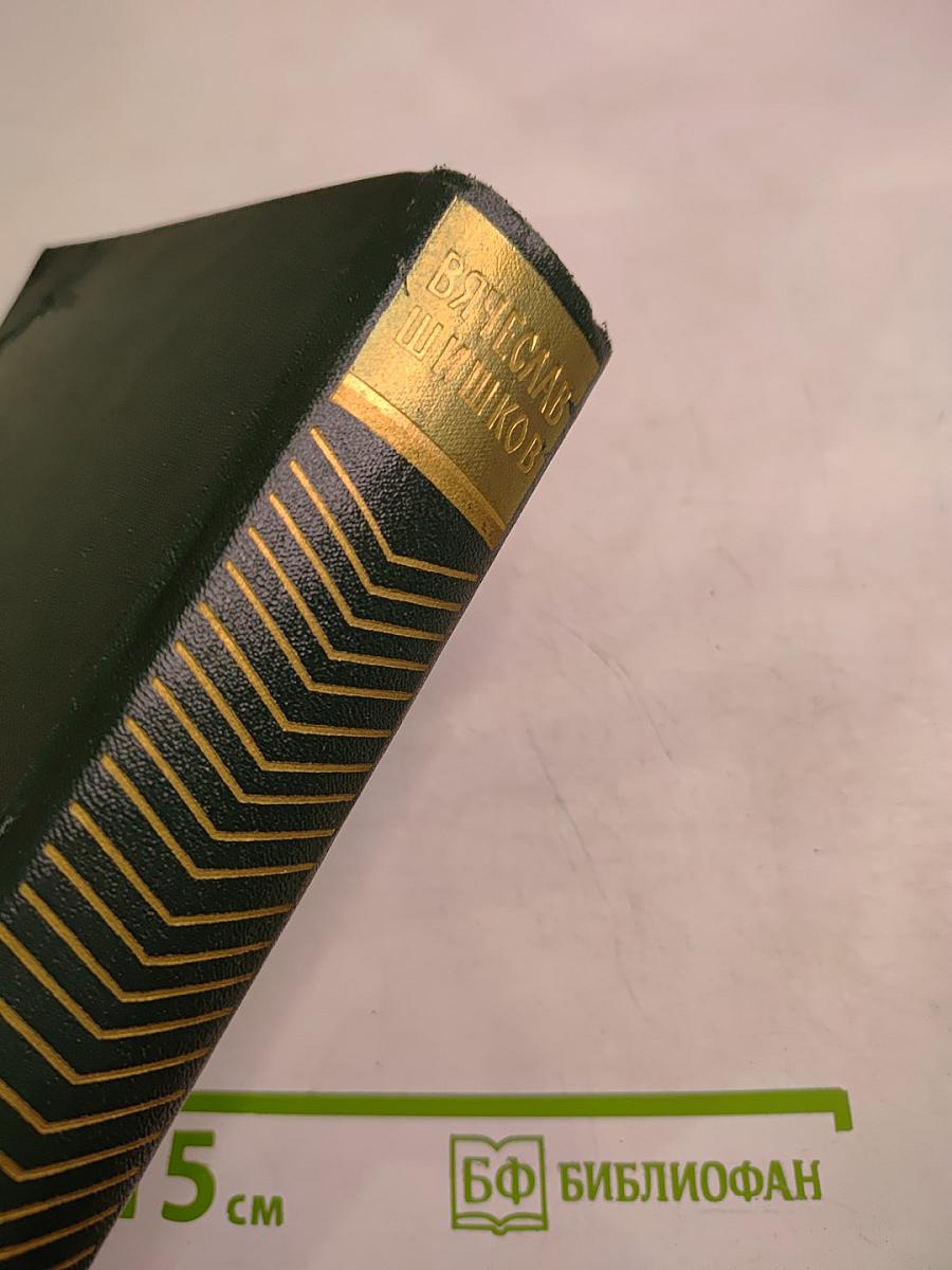 Собрание сочинений. Том восьмой. Емельян Пугачев. Книга третья