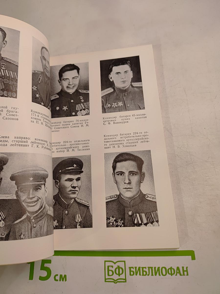 Мы штурмовали рейхстаг