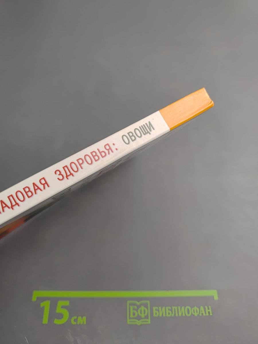 Кладовая здоровья на вашем столе: Овощи