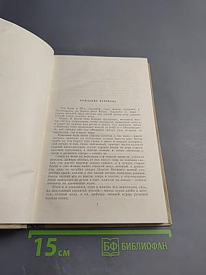 Собрание сочинений. Том 8. По Руси
