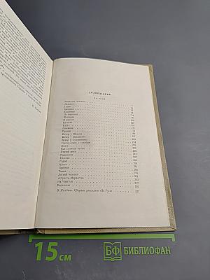 Собрание сочинений. Том 8. По Руси
