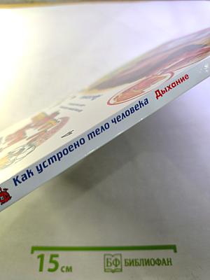 Как устроено Тело Человека. Дыхание. Выпуск 4