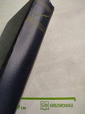 Собрание сочинений. Том 2. Письма, телеграммы, надписи. 1889