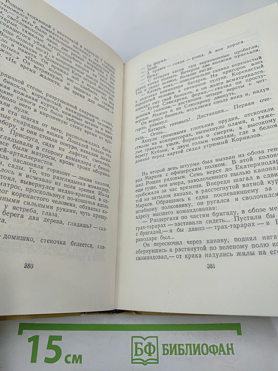 Хождение по мукам. Книги первая и вторая