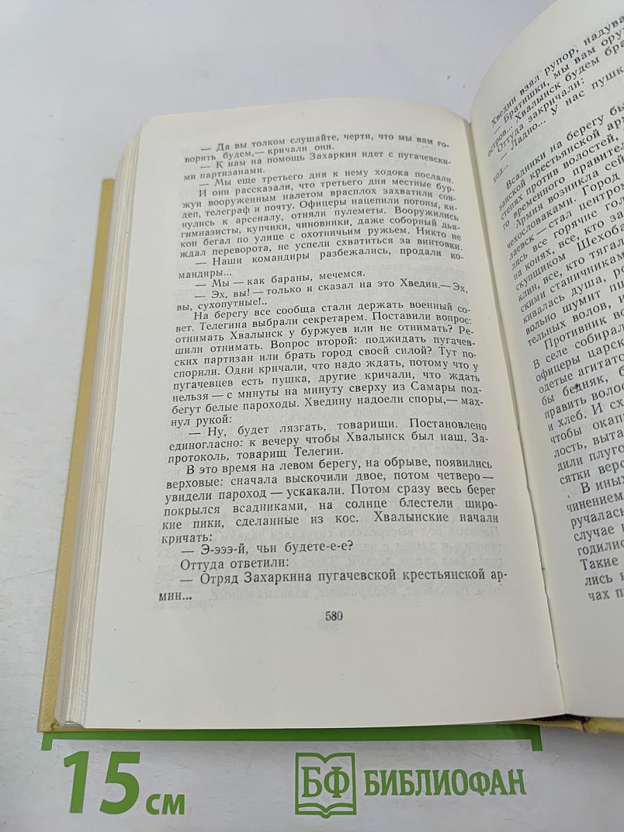Хождение по мукам. Книги первая и вторая