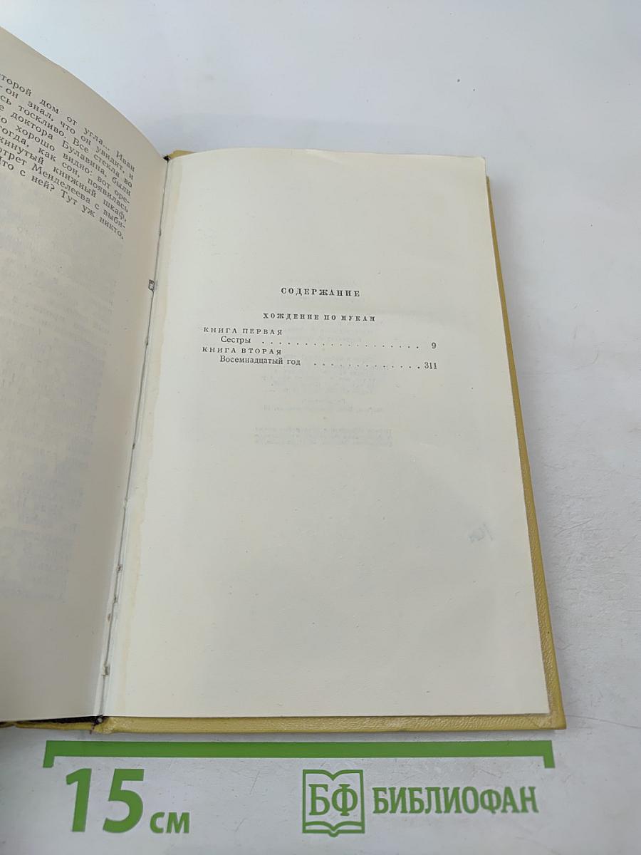 Хождение по мукам. Книги первая и вторая