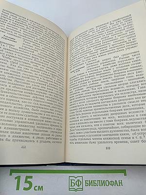Сочинения. Том II. Курс русской истории. Часть 2