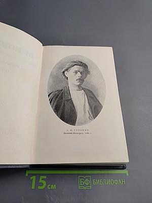 Собрание сочинений в двадцати томах. Том 2: Рассказы, стихи. 1895–1896