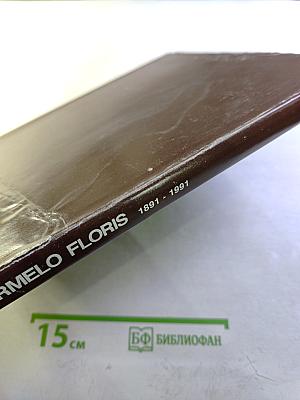 Carmelo floris 1891 - 1991