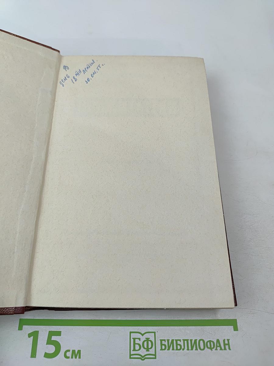 Поджигатели. Книга Вторая