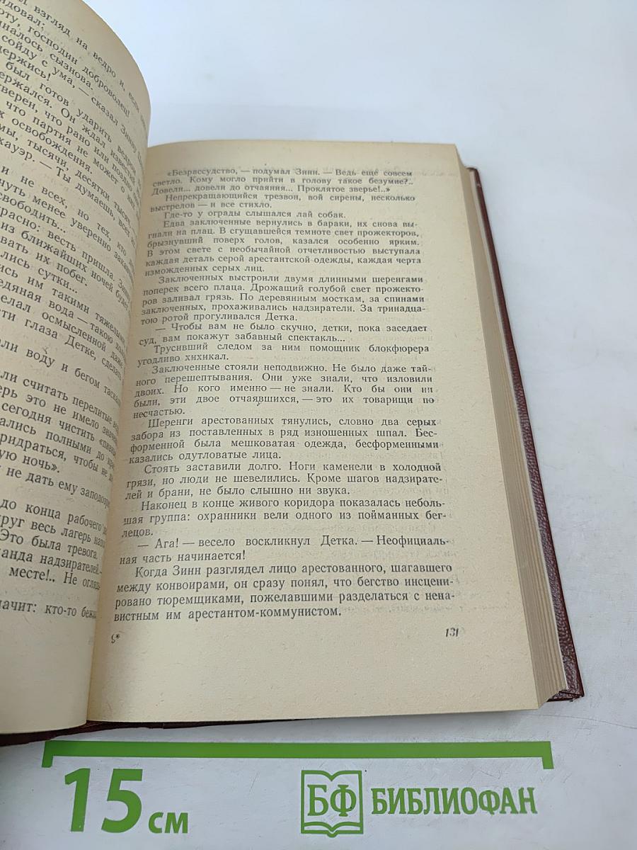 Поджигатели. Книга Вторая