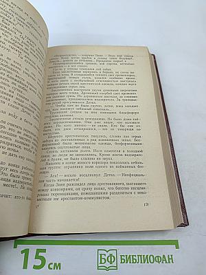 Поджигатели. Книга Вторая