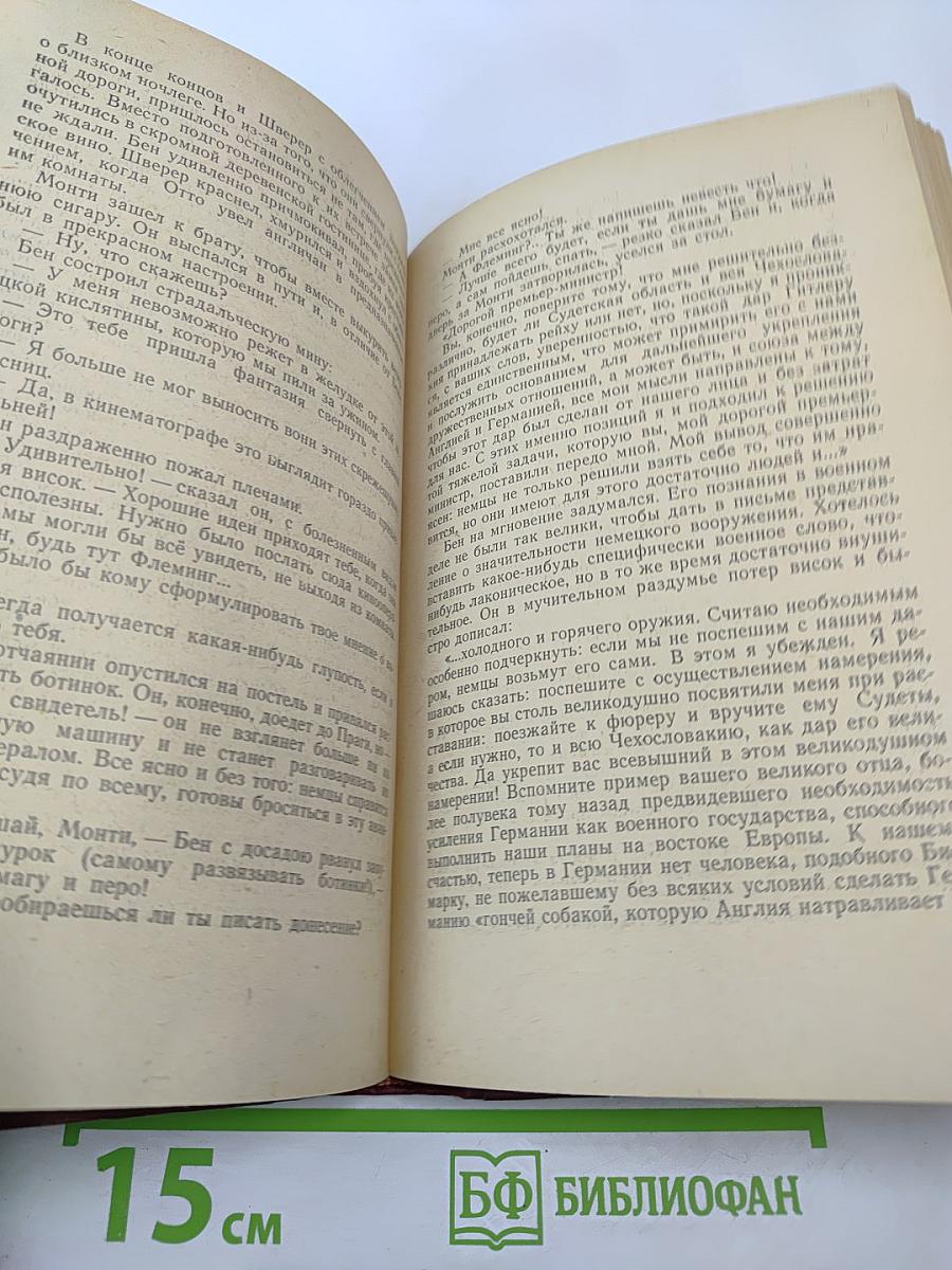 Поджигатели. Книга Вторая