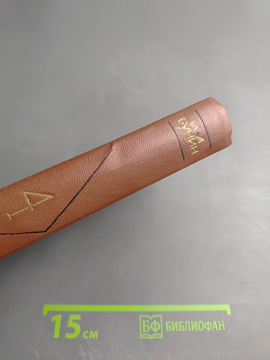 Собрание сочинений. Том Четвертый. Повести и рассказы 1912-1916