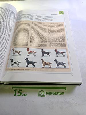 Энциклопедия для детей. Биология. Том 2