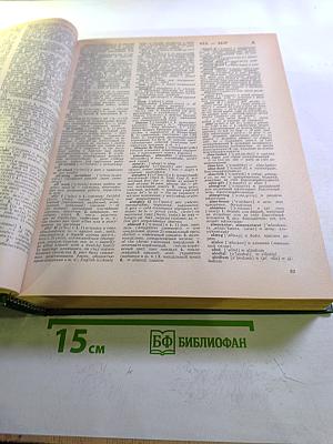 Новый большой англо-русский словарь. Том 1. A-F