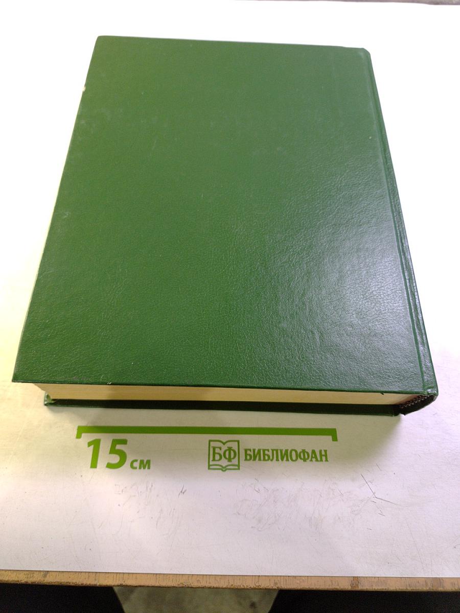 Новый большой англо-русский словарь. Том 1. A-F