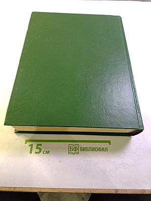 Новый большой англо-русский словарь. Том 1. A-F