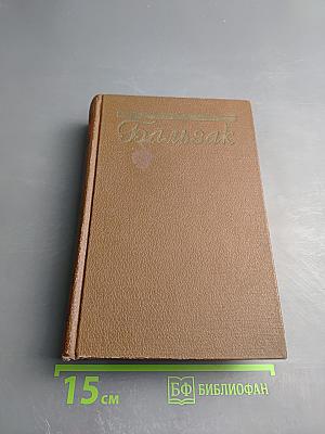 Человеческая комедия. Сцены парижской жизни. Блеск и нищета куртизанок. Тайны княгини де Кадиньян. Том 9