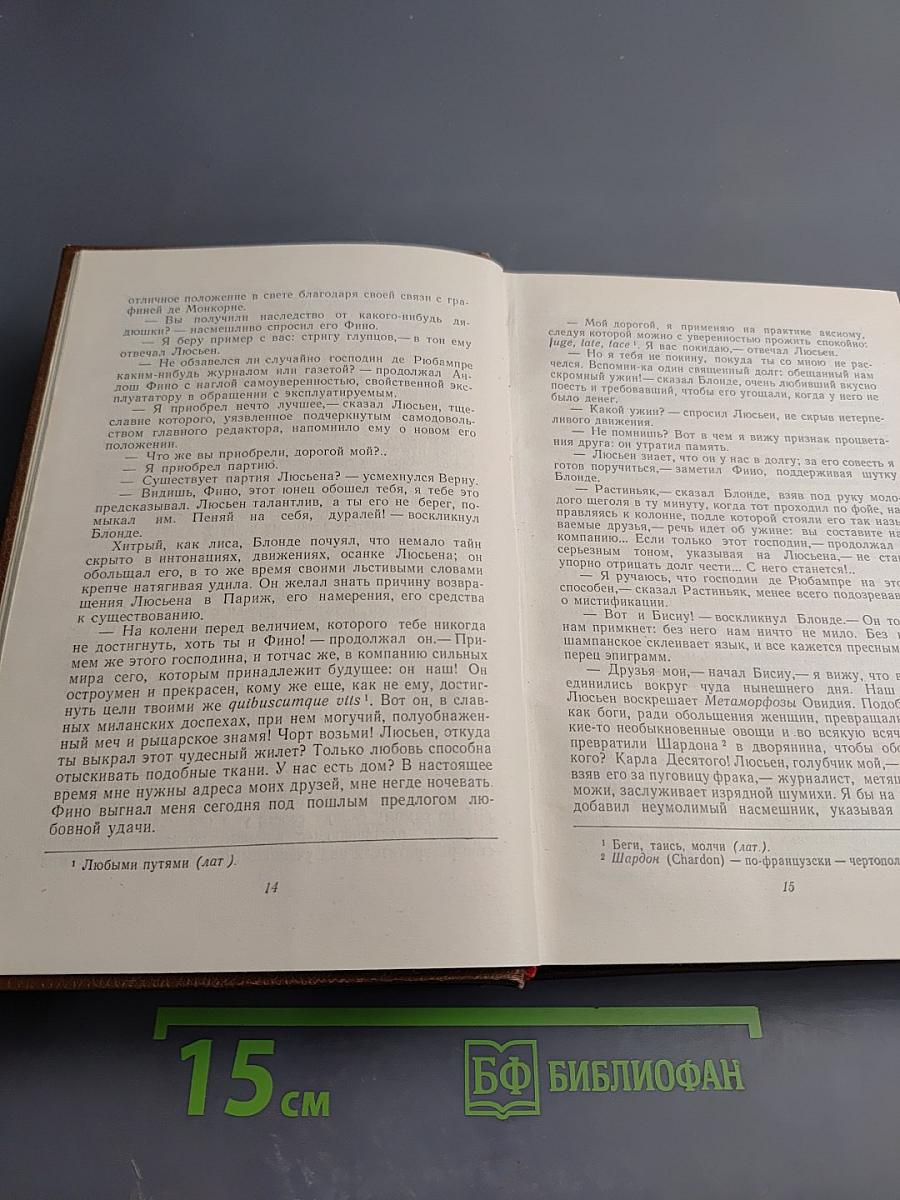 Человеческая комедия. Сцены парижской жизни. Блеск и нищета куртизанок. Тайны княгини де Кадиньян. Том 9