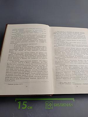 Человеческая комедия. Сцены парижской жизни. Блеск и нищета куртизанок. Тайны княгини де Кадиньян. Том 9