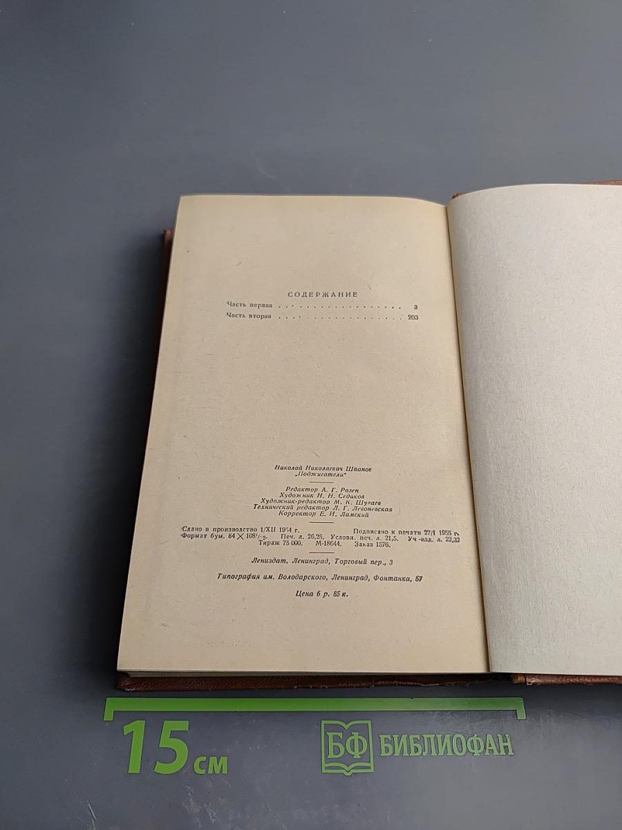 Поджигатели. Книга вторая