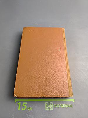 Поджигатели. Книга вторая