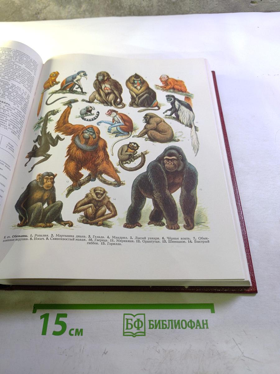 Большая Советская Энциклопедия. Том 18. Никко - Отолиты