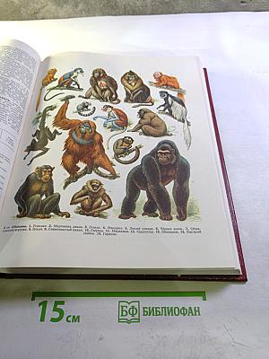 Большая Советская Энциклопедия. Том 18. Никко - Отолиты