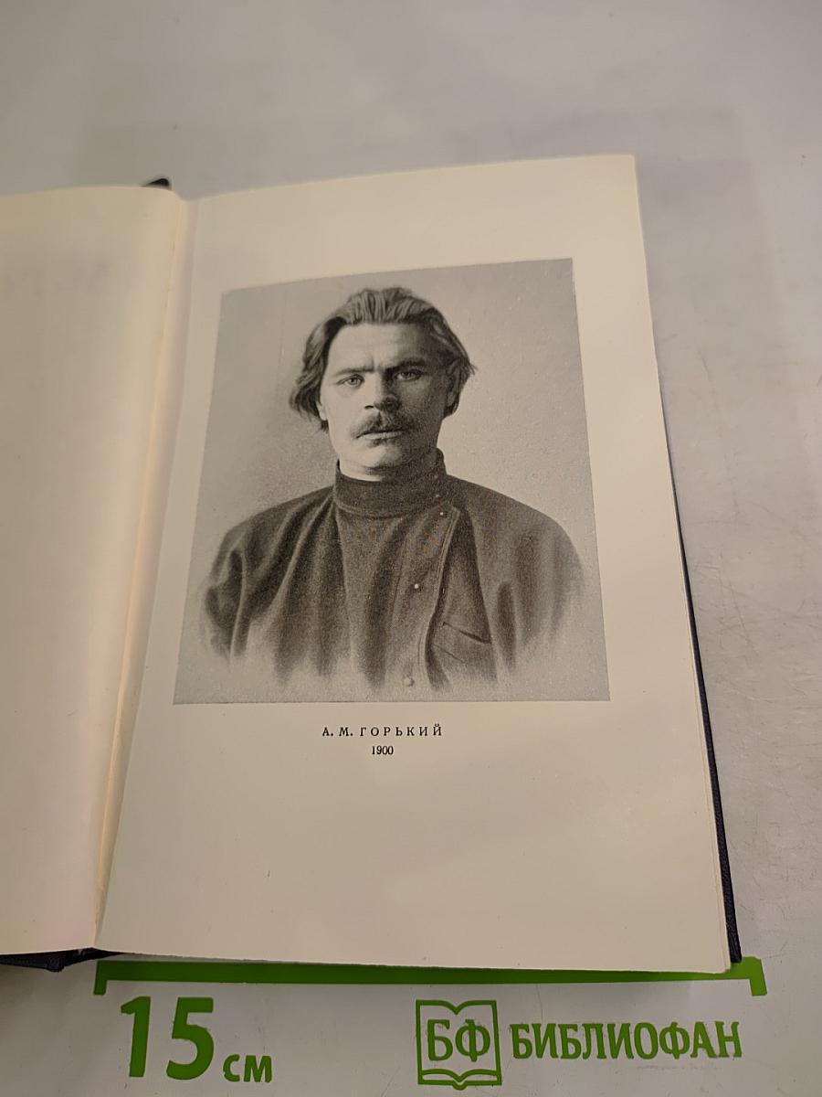 Собрание сочинений в тридцати томах. Том 4: Повести, рассказы