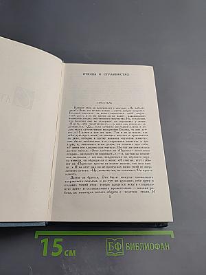 Сатира. Этюды о странностях. Плывущее копье