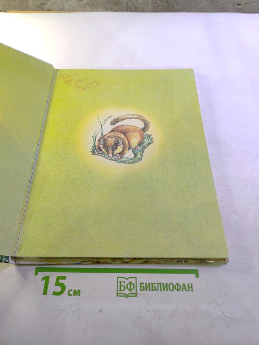 Детки в клетке