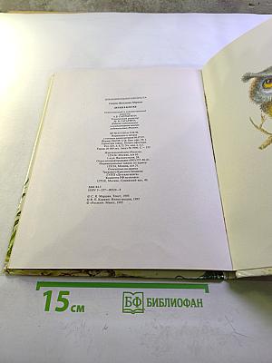 Детки в клетке