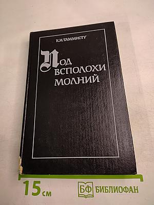 Под всполохи молний