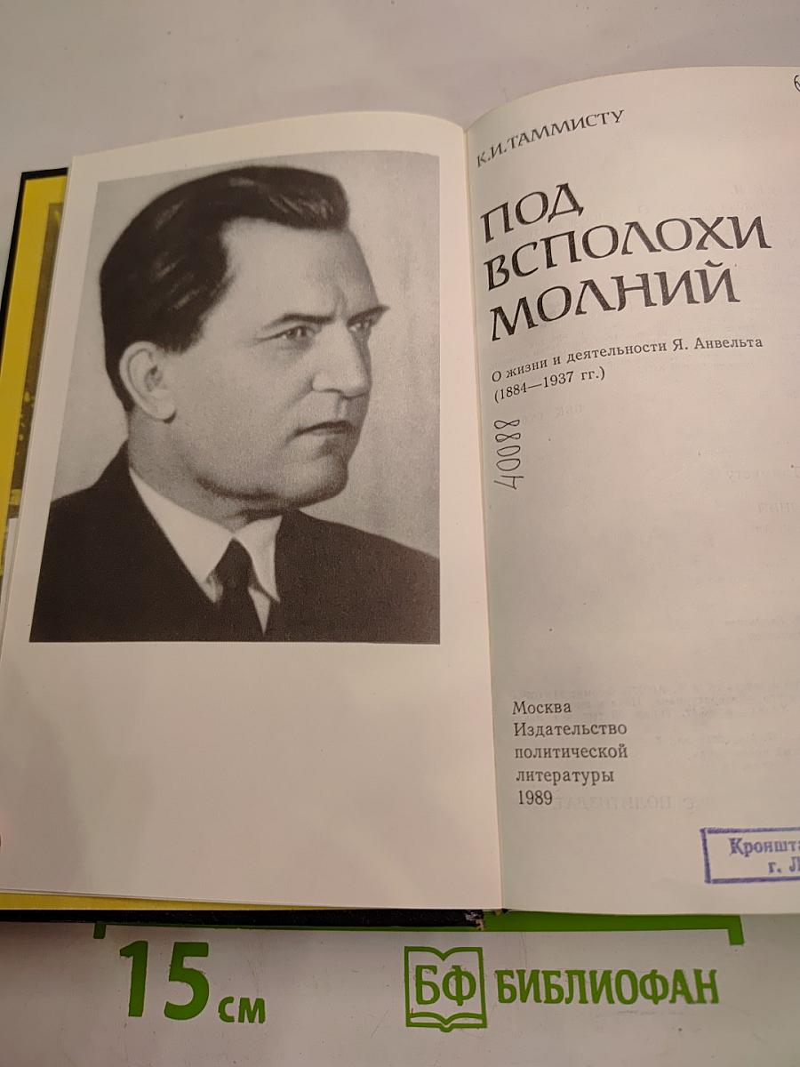 Под всполохи молний