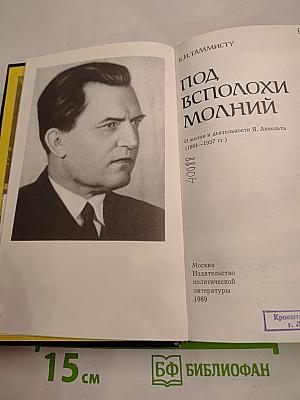 Под всполохи молний