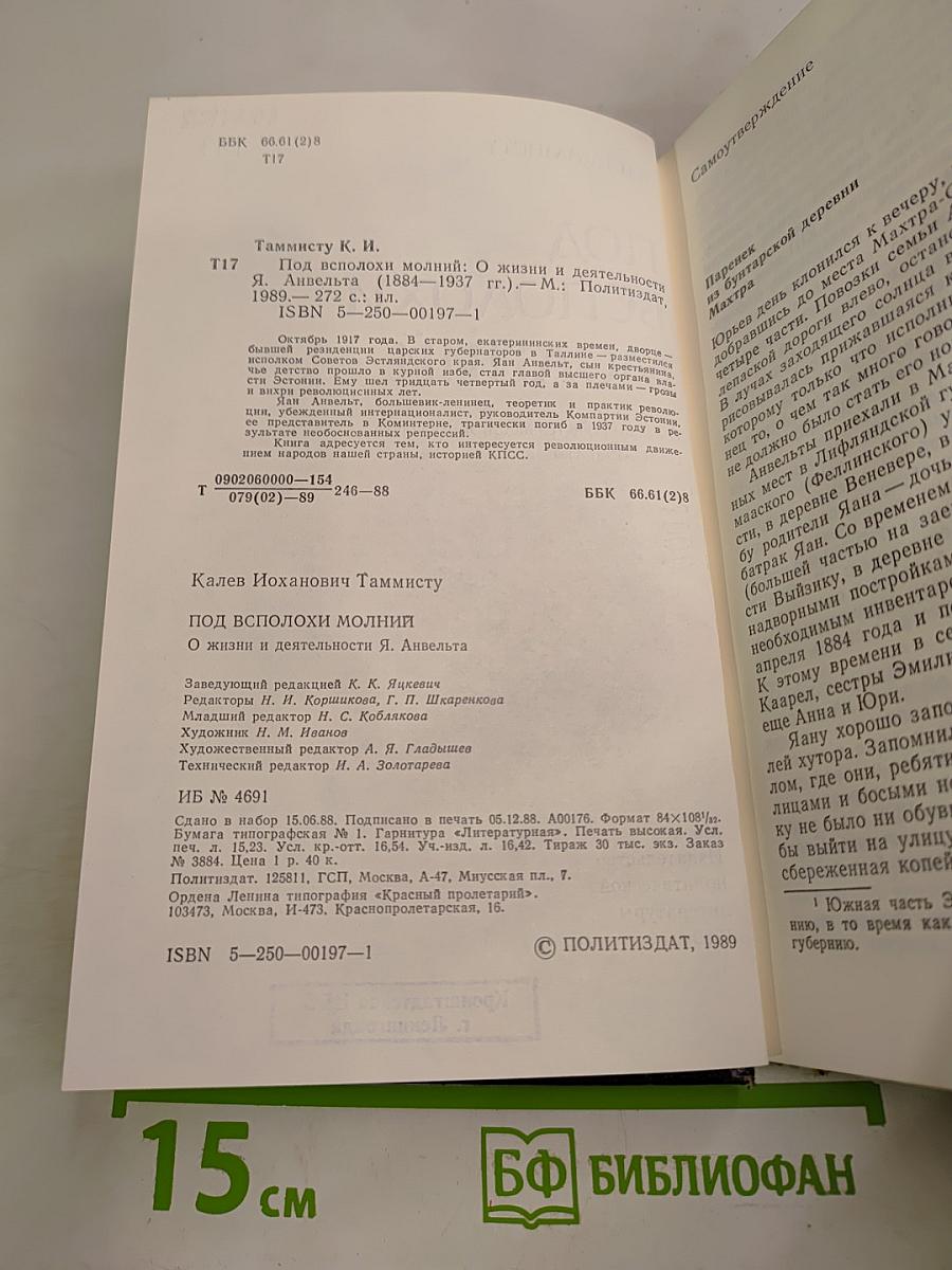 Под всполохи молний