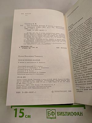 Под всполохи молний