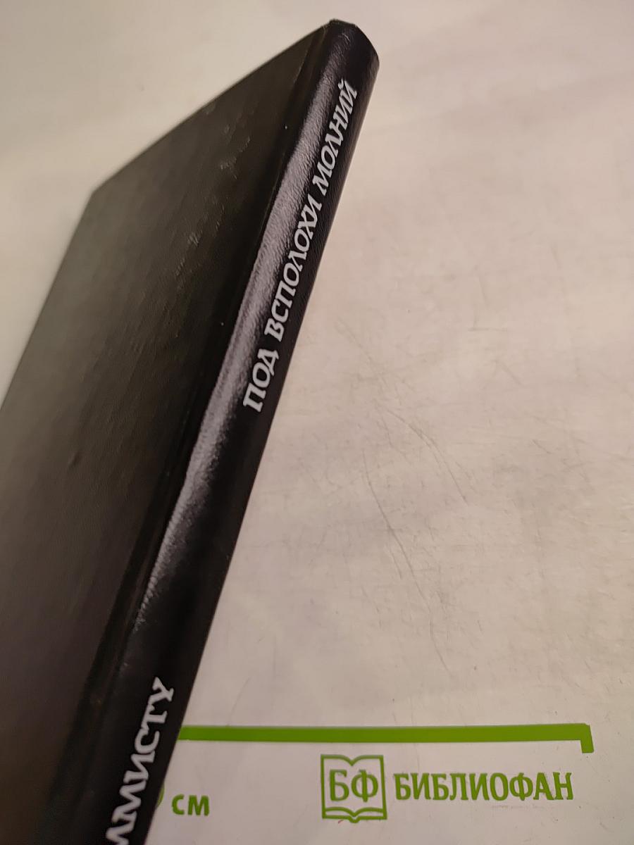 Под всполохи молний