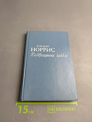 Возвращение чайки